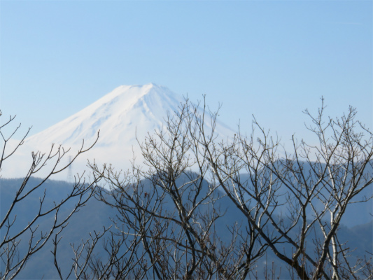 笹子雁ヶ腹摺山の山頂から富士山