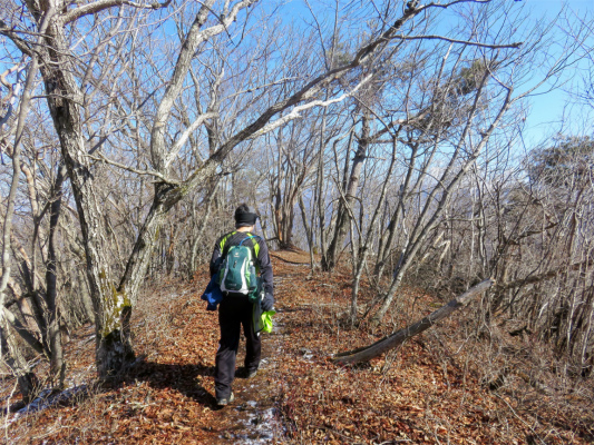 笹子雁ヶ腹摺山の山頂から米沢山
