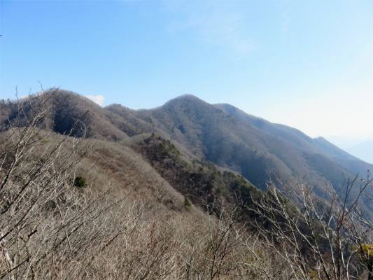 目指す米沢山・お坊山・大鹿山
