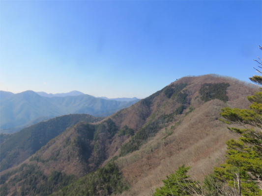 先ほどまでいた笹子雁ヶ腹摺山