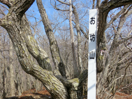 お坊さんは居なかったお坊山の山頂