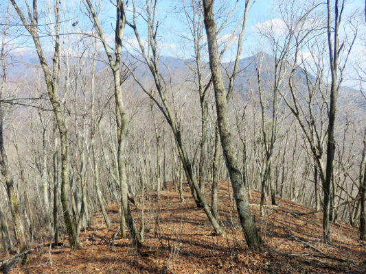 お坊山から大鹿山登山ルート