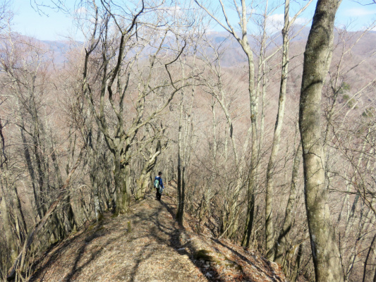 お坊山から大鹿山登山