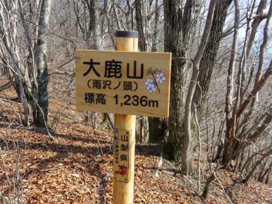 大鹿峠から地味に登り大鹿山