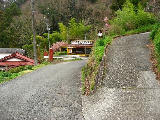 大野山ハイキングコース分岐
