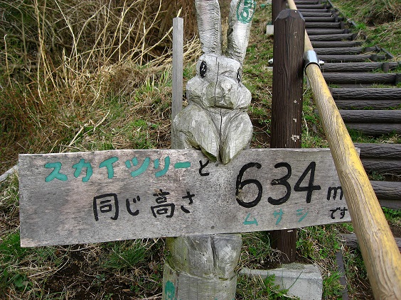 大野山ハイキングコースの途中