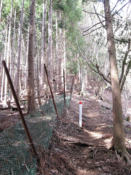 ミツバ岳は、地味に急登