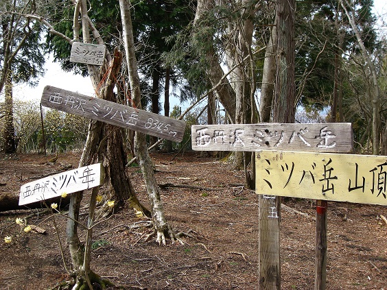 ミツバ岳のプレート乱立