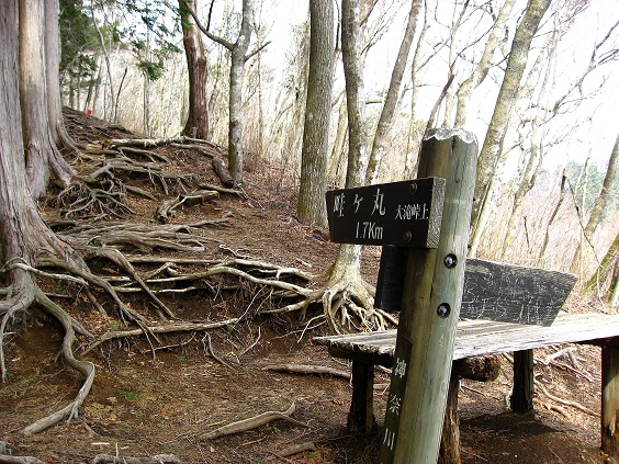 畦ヶ丸を目指して進むと分岐