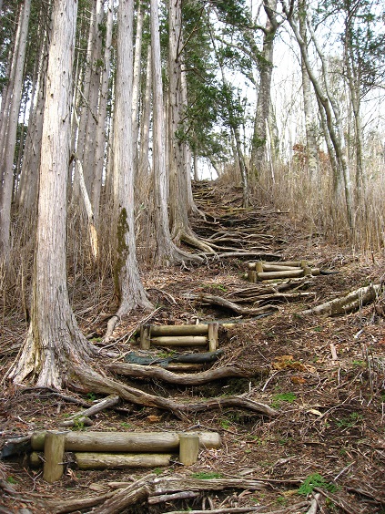 畦ヶ丸避難小屋結構キツイ行程
