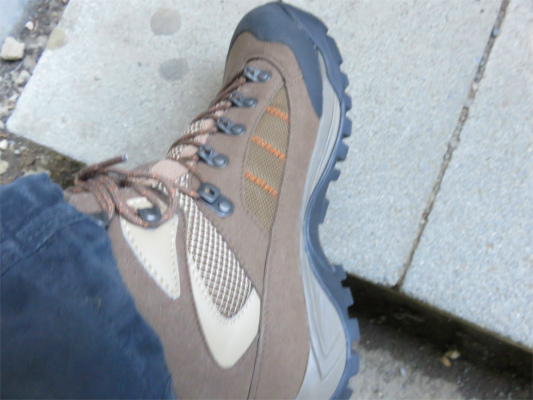 f:id:aohige0718:20190309193207j:plain 新調したシリオの登山靴