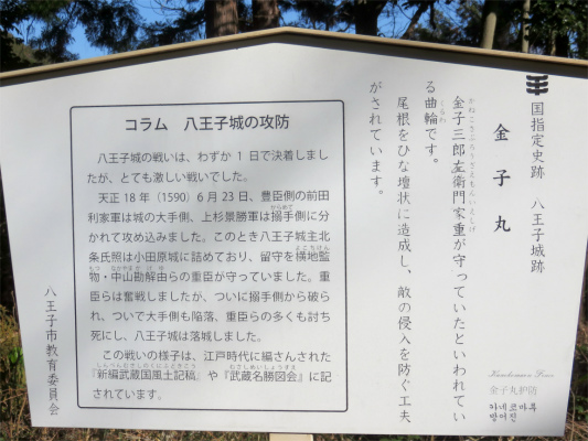 f:id:aohige0718:20190309193935j:plain 金子丸という曲輪