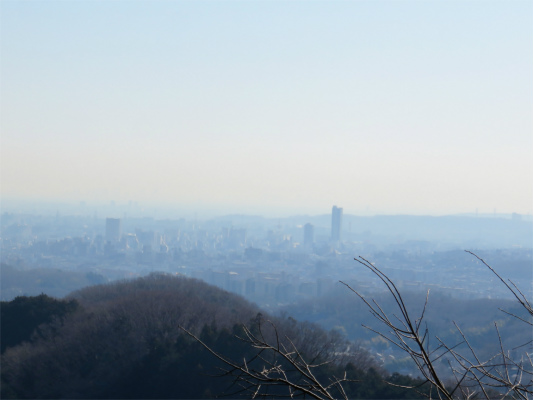 f:id:aohige0718:20190309193945j:plain 八王子市街の景色