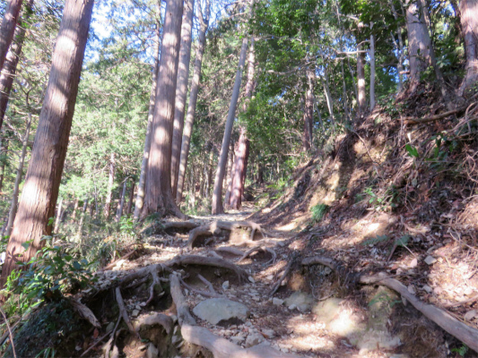 f:id:aohige0718:20190309193955j:plain 八王子城址は、中々の山登り