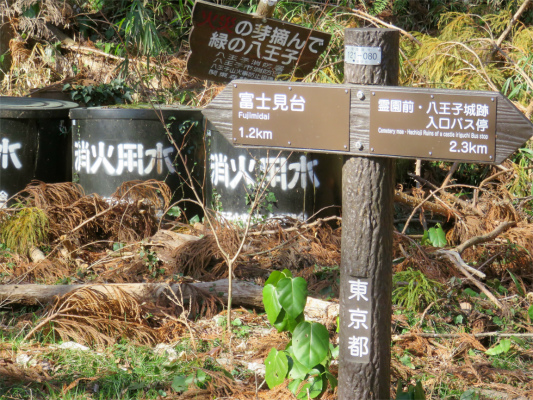 f:id:aohige0718:20190309194321j:plain 富士見台