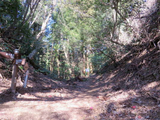 f:id:aohige0718:20190309194355j:plain 北高尾山稜から堂平山を目指