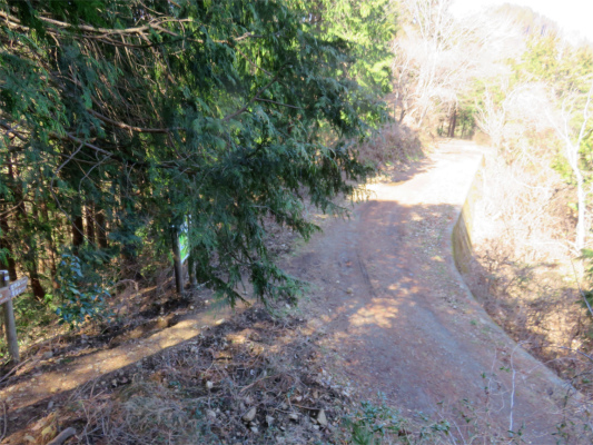 f:id:aohige0718:20190309194516j:plain 北高尾山稜杉の丸狐塚峠