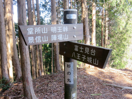 f:id:aohige0718:20190309194537j:plain 北高尾山稜杉の丸