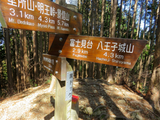 f:id:aohige0718:20190309194547j:plain 黒ドッケ堂平山まで3kmの道のり