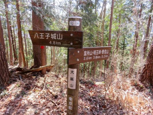 f:id:aohige0718:20190309194600j:plain 大嵐山