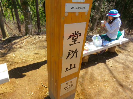 f:id:aohige0718:20190309194702j:plain 堂平山の標高は733m
