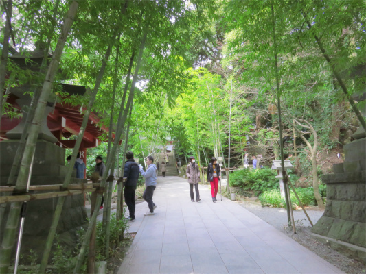 来宮神社本殿の裏側に鎮座