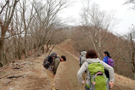 川苔山までが地味に遠く