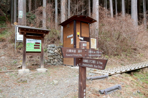 細倉橋の分岐百尋ノ滝・川苔山は右手