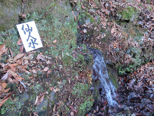 仙人水