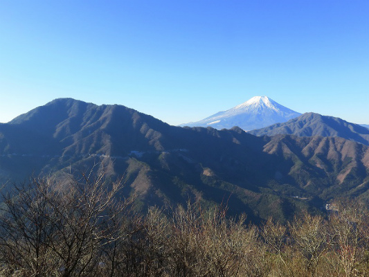道志山塊の盟主御正体山