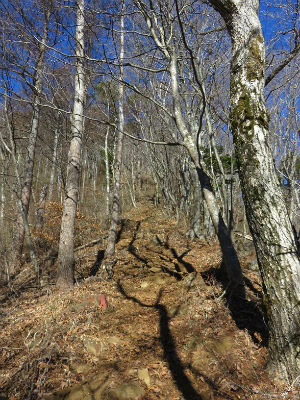菜畑山から赤鞍ヶ岳を目指して進む