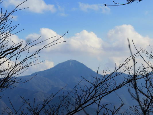 細茅ノ頭（中ノ入山）から峰山を目指して進む丹沢山塊最高峰の蛭ヶ岳