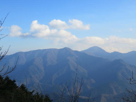厳道峠付近から丹沢山方面