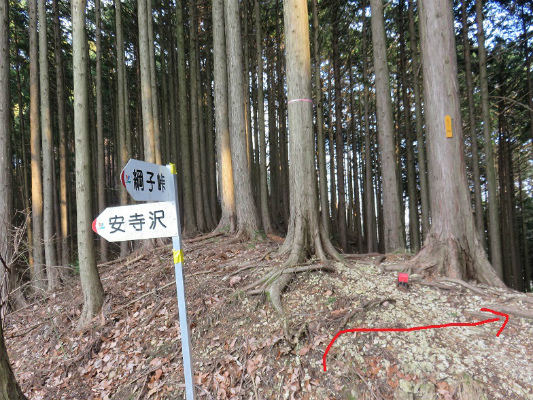 網子峠安寺沢