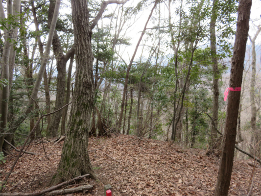 牧馬峠への登山道尾根が二つ