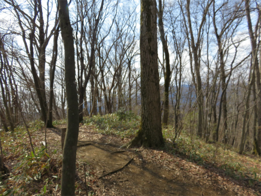 石砂山の山頂近く
