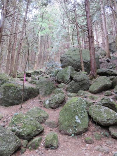 キャンプ場から大明神山・石老山への登山コース