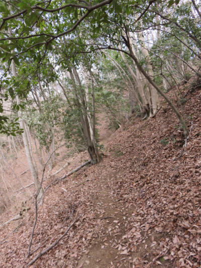 牧馬峠から石砂山の登山道