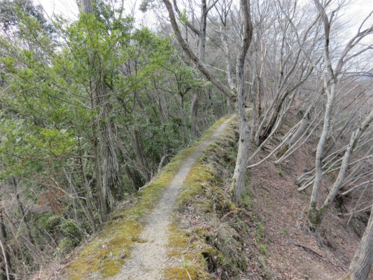 雰囲気の良いハイキングコース
