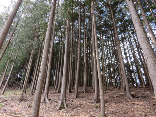 舟山へのルート道志山塊