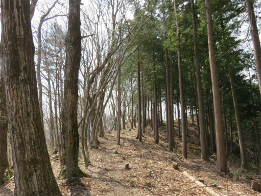 上ノ山ハイキングコース