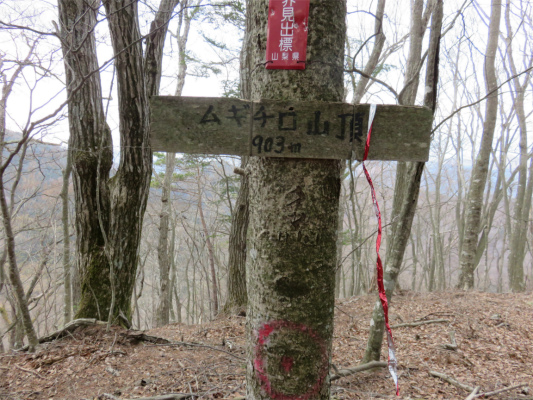ムギチロ山頂