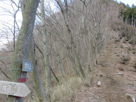 池ノ上急登