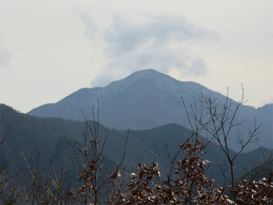 阿夫利山から蛭ヶ岳