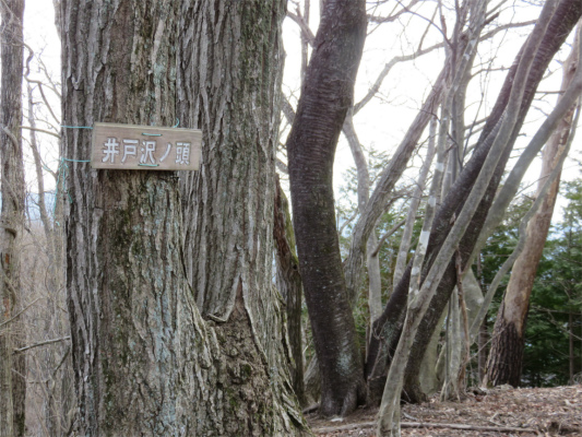 井戸沢ノ頭