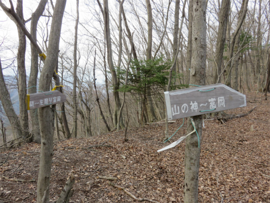 道志山の神分岐
