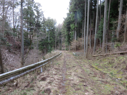 道志林道