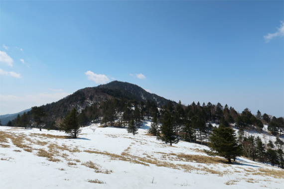 f:id:aohige0718:20190407103616j:plain 狼平