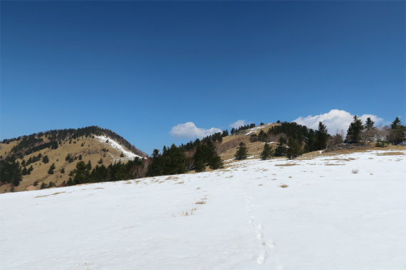 f:id:aohige0718:20190407103639j:plain 振り返っての天狗棚山と熊笹山