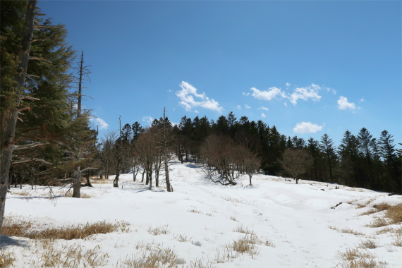 小金沢山から牛奥ノ雁ヶ腹摺山の区間の雪道が結構深く
